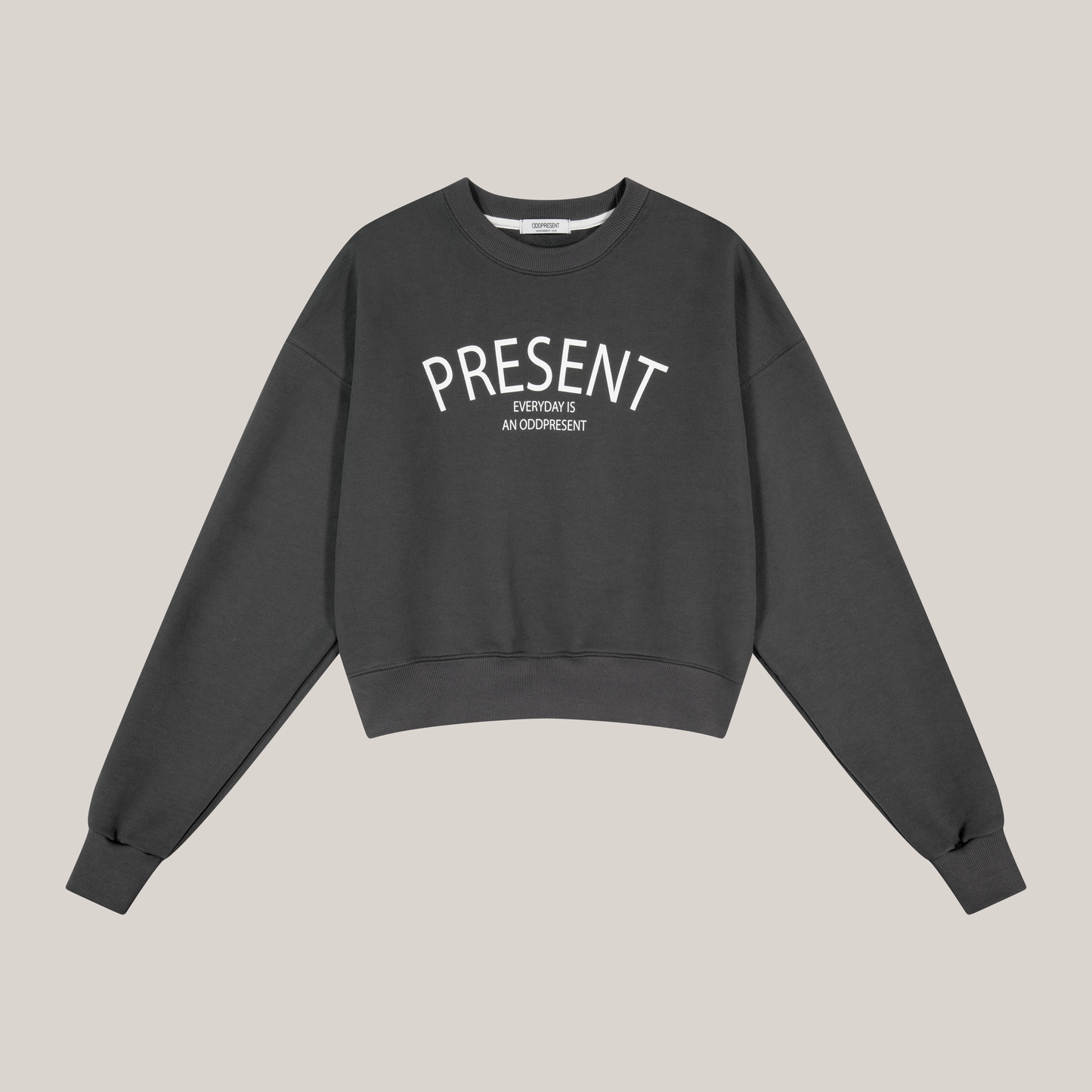 Present Sweatshirts (Navy)