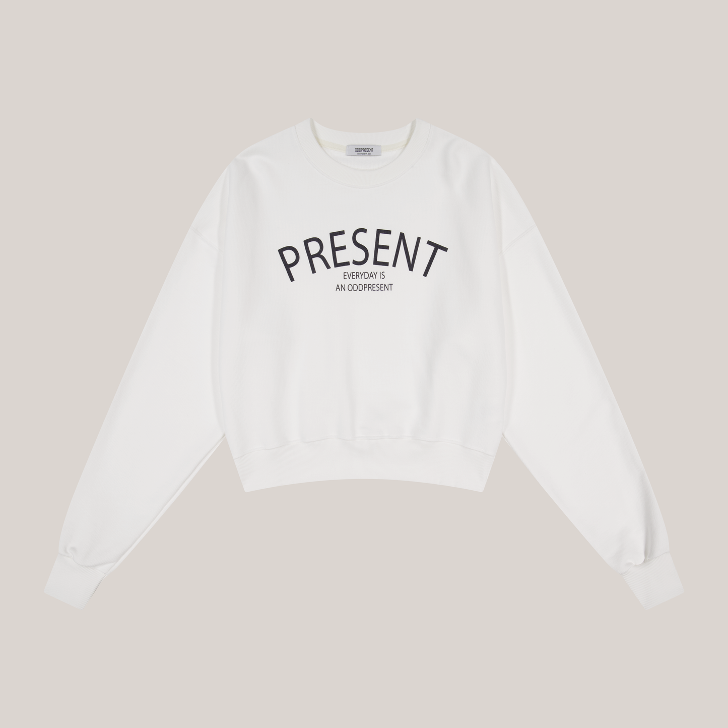 Present Sweatshirts (Navy)